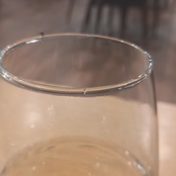 Dalaman Premium Lounge Son Derece Hijyenik Olmayan Ve Rahatsız Edici Bir Deneyim Yaşıyorum