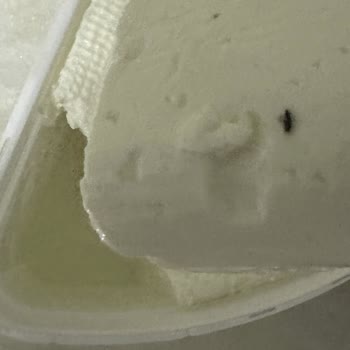 BİM Taze Beyaz Peynir Paketi İçinden Çıkan Böcek Hijyen Ve Sağlık Riskine Dikkat