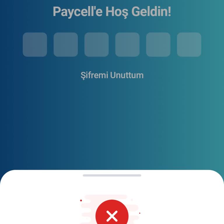 Paycell Hesabımda 90.000 TL Bakiye Erişiminin Engellenmesi Ve Gerekçeli Açıklama İsteği