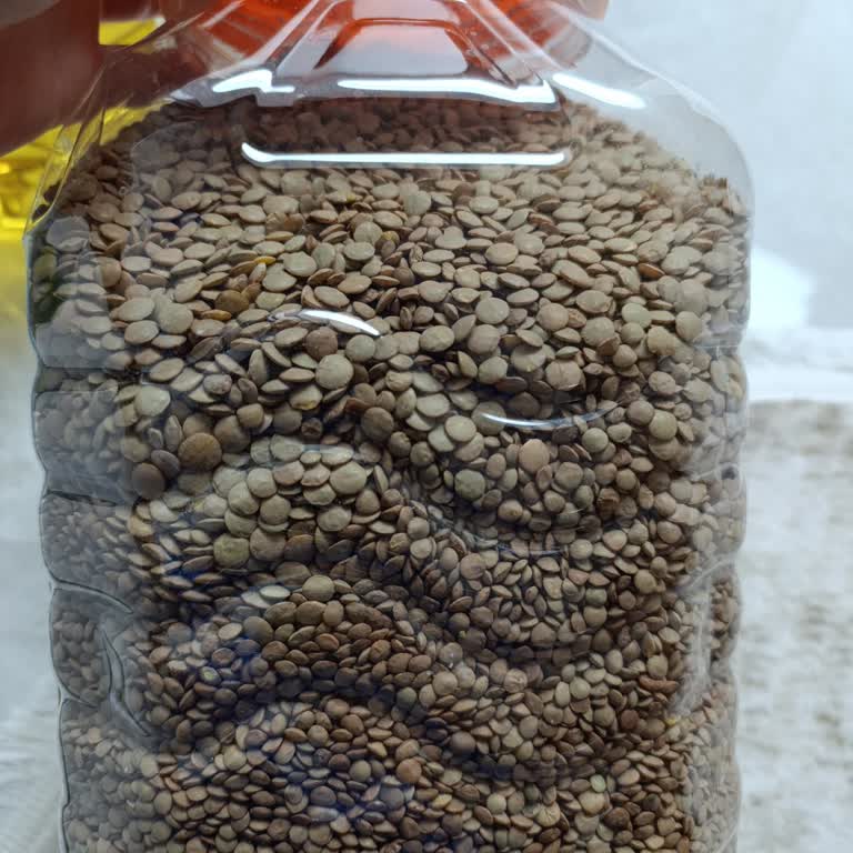 Raya Organik’ten Yeşil Mercimek Alımında Kalite Tutarsızlığı Ve Yanıltıcı Ürün Sunumu