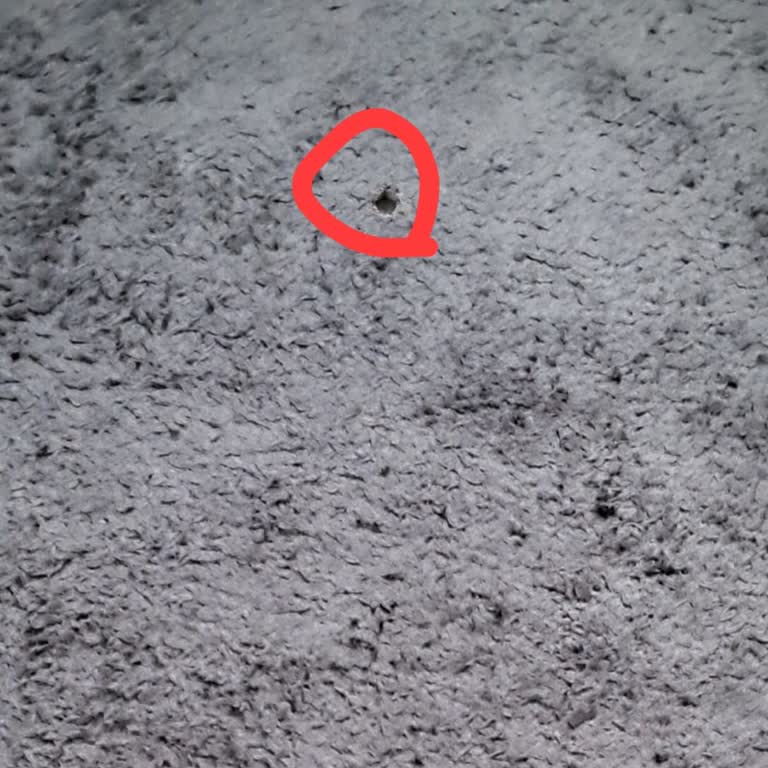 Montajx Personelinin Saygısız Davranışı Ve Halımıza Verdiği Zarar