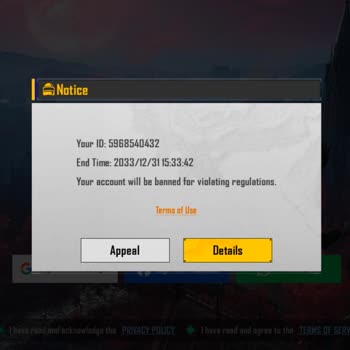 Battlegrounds Mobile India ID Unban Request