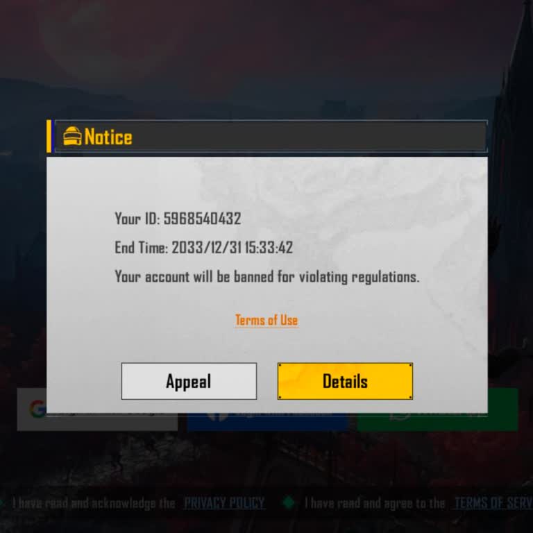 Battlegrounds Mobile India ID Unban Request