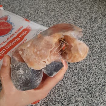 Fiş Kaybı Nedeniyle Bozuk Somon Ürünün İadesi Reddedildi