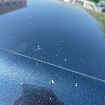 Renault Megane'de Boya Dökülmesi Yetkili Servis Tarafından Kullanıcı Hatası Olarak Reddedildi