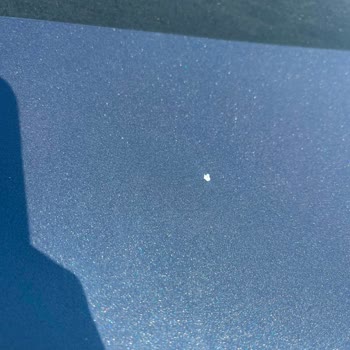 Renault Megane'de Boya Dökülmesi Yetkili Servis Tarafından Kullanıcı Hatası Olarak Reddedildi