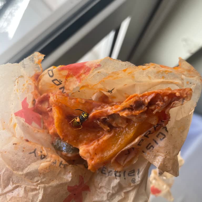 Döner Sandviçinde Böcek Tespiti: Hijyen Ve Güvenlik İhlali
