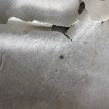 Çelikkayalar Online’da Bozuk Ürün, Yanıltıcı Stok Ve Geciken Teslimat Güveni Sarsıyor