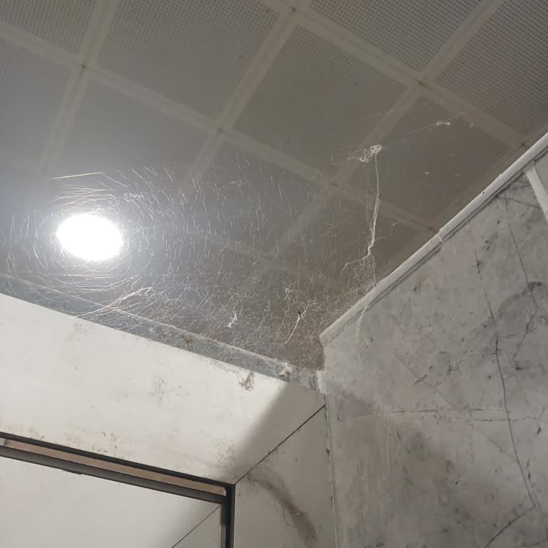 Düzce Otogar Tuvaletin Temizliği Ve Düzeni