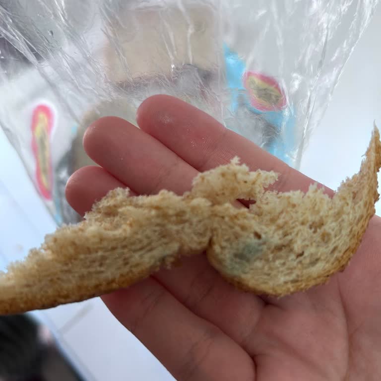 Küflü Ekmek Satışı Ve Ücret İadesi Talebi