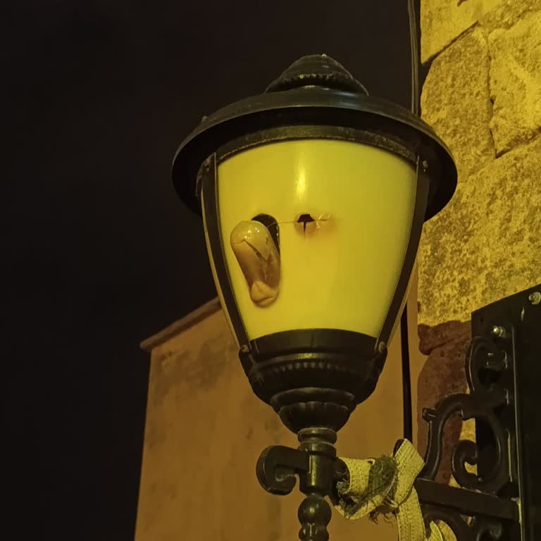 Mardin Artuklu’da Aydınlatma Arızası Ve Güvenlik Riski İçin Acil Çözüm Talebi