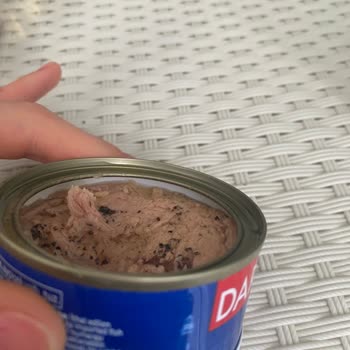 Dardanel Ton Balıklarında Kalite Sorunu Ve Aldatıcı Satış Yaklaşımı