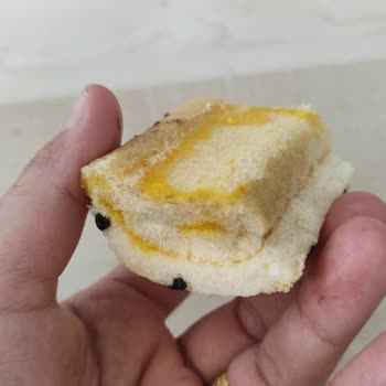 Elvan Today Roll Kekinde Küflenme: Sağlık Riski Ve Gıda Güvenliği Sorunu
