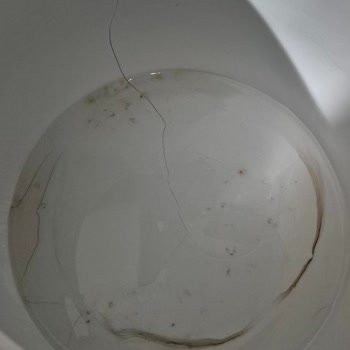 Kütahya Porselen Tencere Üçüncü Kullanımda Çatladı İade Talebi