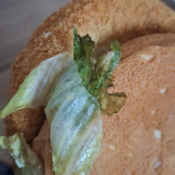 Burger King Arnavutköy Şubesinde Çürük Marul, Sert Ekmek Ve Eksik Patates Menüsü