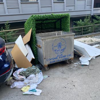 Maltepe Çimen Sokakta Çöp Konteynerleri Nedeniyle Koku Ve Hijyen Sorunu