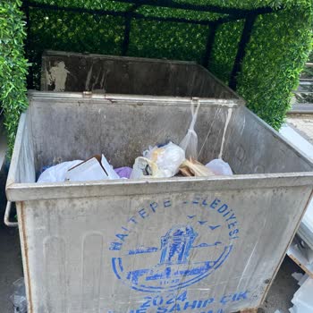 Maltepe Çimen Sokakta Çöp Konteynerleri Nedeniyle Koku Ve Hijyen Sorunu