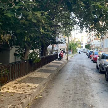 Maltepe Çimen Sokakta Çöp Konteynerleri Nedeniyle Koku Ve Hijyen Sorunu