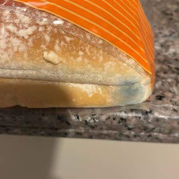 Şok Mağazasındaki UNO Süper Sandviç Üzerinde Mavi Küf Ve Kalite Sorunu