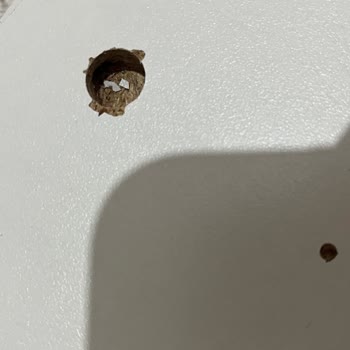 Kusurlu Mobilya Teslim Edildi, Horoz Lojistik İadeyi Gerçekleştirmiyor