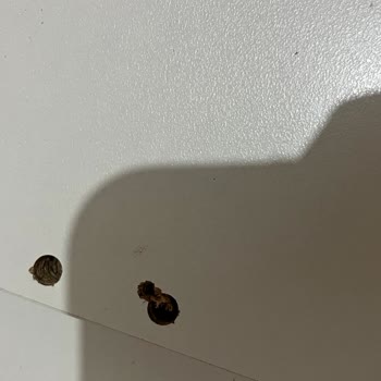 Kusurlu Mobilya Teslim Edildi, Horoz Lojistik İadeyi Gerçekleştirmiyor
