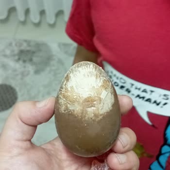 Şölen Ozmo Sürpriz Yumurtada Bozulmuş Çikolata Ve Renk Değişikliği