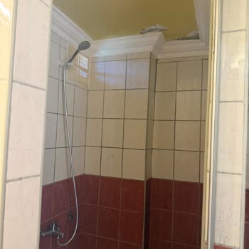 Tatilbudur Alanya Senza Garden Otelinde Karınca Ve Fare Problemleriyle Karşılaşılan Hijyen Sorunları