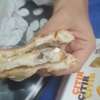 Hamburgerde Yabancı Madde Ve Eksik Malzeme, Hijyen İhlali