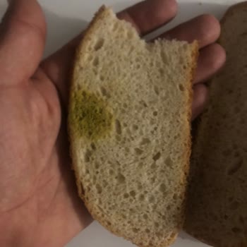 Kayseri Talas Bilginler Mağazasından Küflü Ekmek Şikayeti
