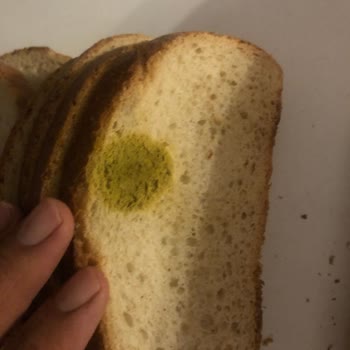 Kayseri Talas Bilginler Mağazasından Küflü Ekmek Şikayeti