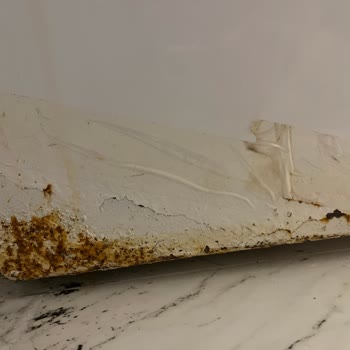 Beko Çamaşır Makinesinde Paslanma Ve Aşırı Sarsıntı Sorunları Çözülmedi