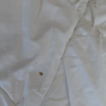 Otelin Aile Otel İddiası Gerçekle Uyuşmuyor Ve İade Gecikiyor