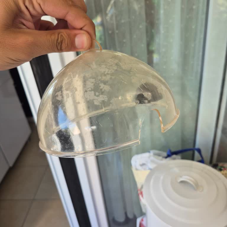 Sinbo Seb 5803 Yumurta Kaynatıcısının Kırık Kapağı İçin Yedek Parça Talebi
