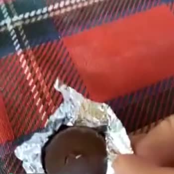 Ülker Ece Çikolatanın İçinden Kurt Çıktı