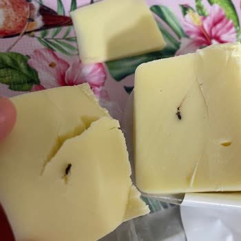 Koop Market Kaşar Peyniri İçinde Böcek Benzeri Madde Tespit Edildi