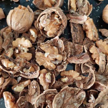Kalitesiz Ve Kurtlu Cevizler Nedeniyle 1000 TL’lik Alışverişte Sağlık Riski