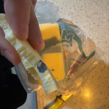 Şok Market Tost Peynirinde Metalik Cisim Ve Yetersiz Müşteri Hizmeti