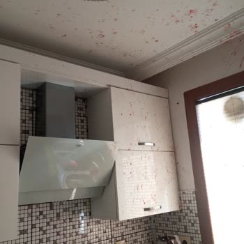 kitirtursu Patlayan Turşu Kavanozu Evime Zarar Verdi Ve Çocuğumu Tehlikeye Attı