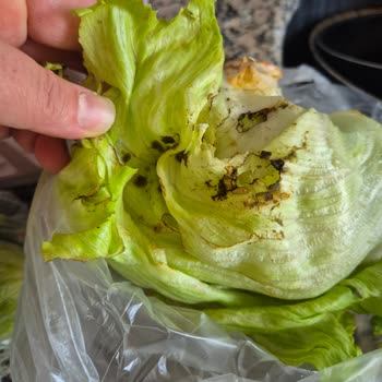 Çürük Atom Salata Teslim Edildi, Müşteri Hizmetlerinden Cevap Gelmedi
