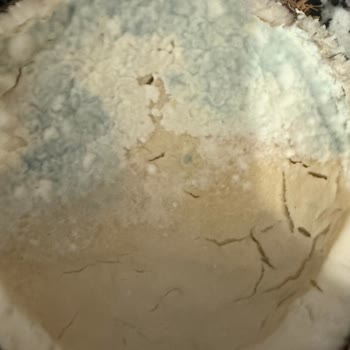 Müşteriye Çatlamış Ve Küflü Hindistan Cevizi Teslim Edildi