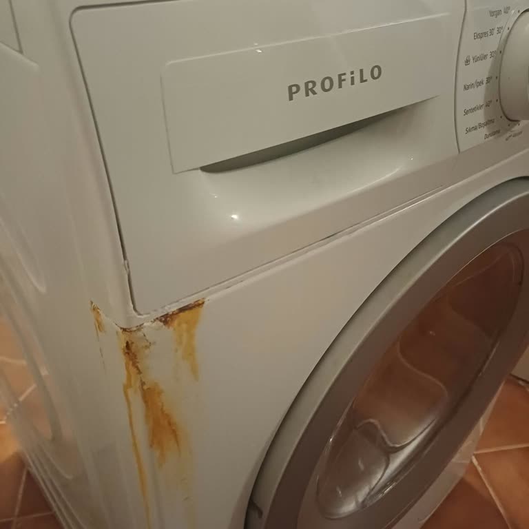 Profilo Çamaşır Makinesinde Hızlı Paslanma Ve Tasarım Hatası Nedeniyle Değişim Talebi