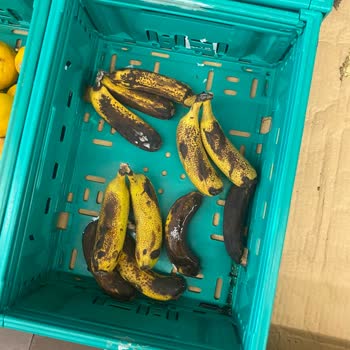 Şok Markette Çürük Ürünler Ve Süresi Geçmiş Tavuk
