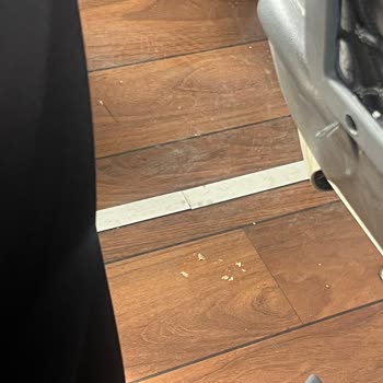 Gecikme, Klima Sorunu Ve Kirli Otobüs Şikayeti