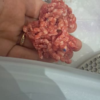 Kıyma İçinde Mavi Eldiven Parçaları Bulunduğu İçin Sağlık Riski Ve İade Talebi