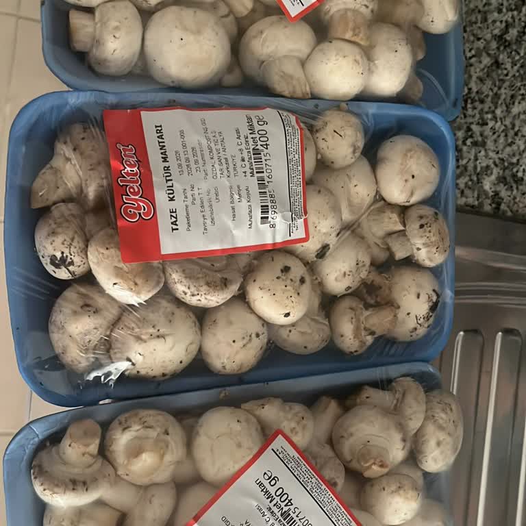 Yanlış Ürün Teslimi Ve Destek Yetersizliği