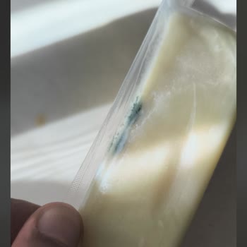 Kaşar Peynirinde Küflenme Şikayeti