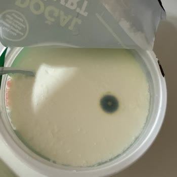 Mavi Küflü Pınar Doğal Yoğurt Paketi Sağlık Riski Oluşturuyor