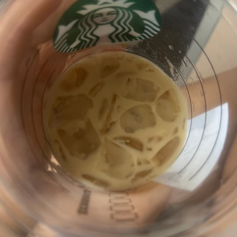 Starbucks Adana Şubesinde İçecekte Böcek Bulunması Hijyen Şikayeti