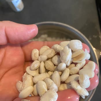 Migros Kuru Fasulyede Kırık Ve Dağınık Taneler