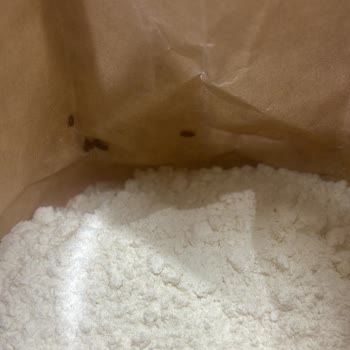 Şok Mağazasındaki Piyale Ununda Canlı Böcek Ve Umursamaz Yönetici